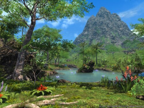 Final Fantasy XIV Online – Nuovo trailer della Patch 6.2, data di uscita e info su Island Sanctuary!